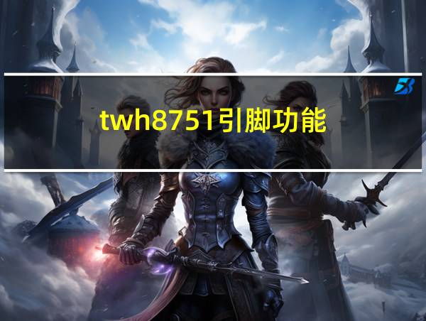 twh8751引脚功能的相关图片