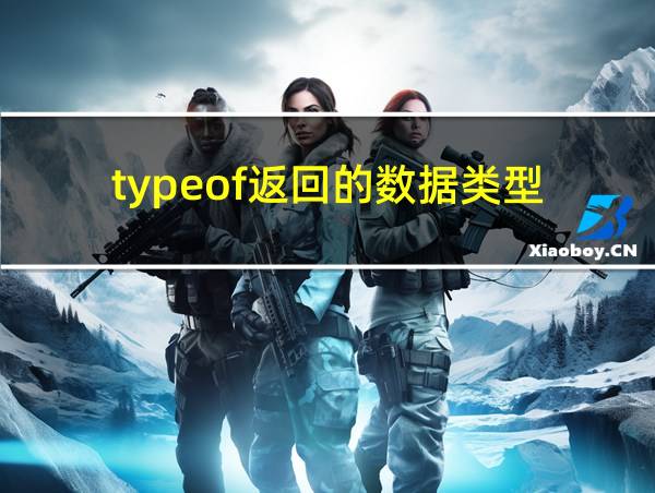 typeof返回的数据类型的相关图片