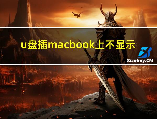 u盘插macbook上不显示的相关图片