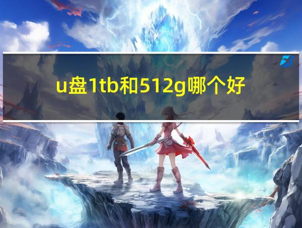 u盘1tb和512g哪个好的相关图片