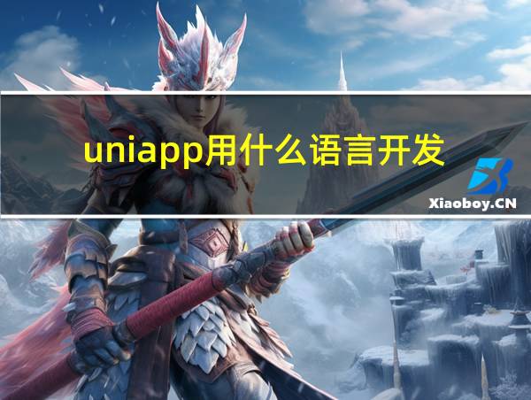 uniapp用什么语言开发的相关图片