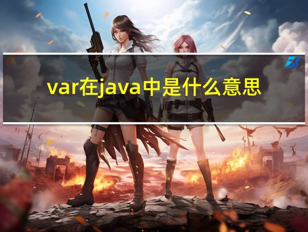 var在java中是什么意思的相关图片