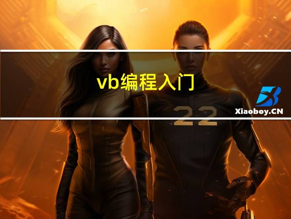 vb编程入门的相关图片