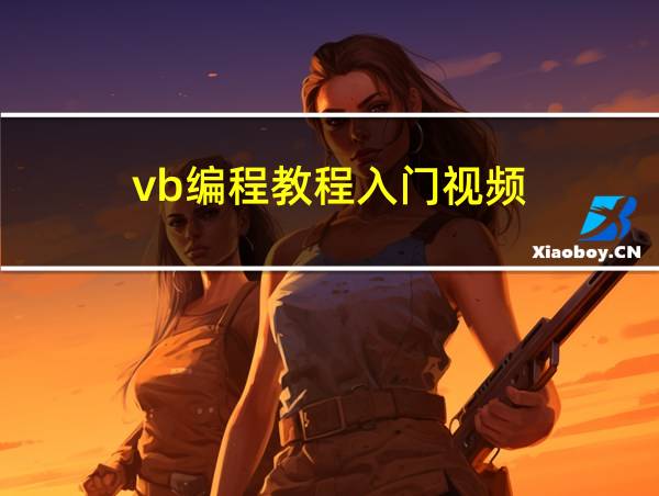 vb编程教程入门视频的相关图片