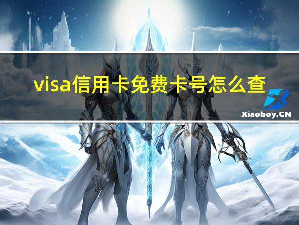 visa信用卡免费卡号怎么查的相关图片