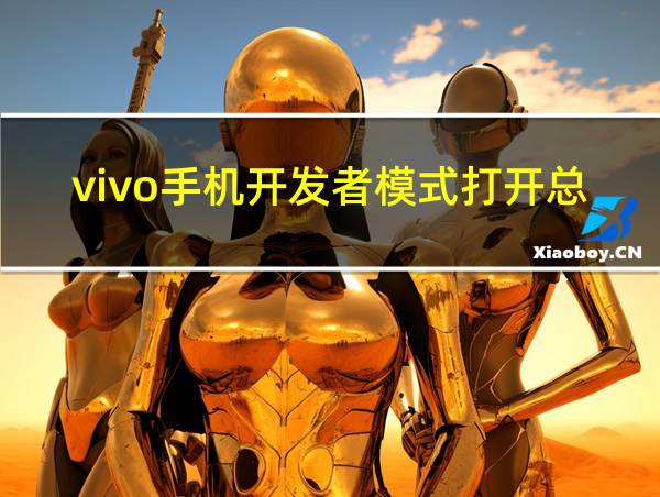 vivo手机开发者模式打开总关闭为什么的相关图片