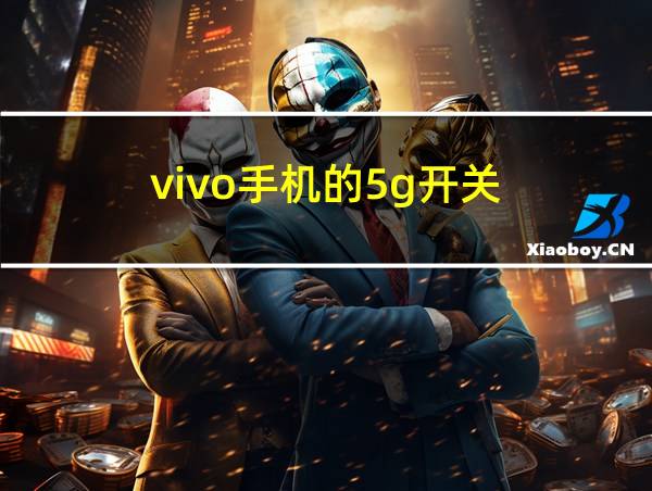 vivo手机的5g开关的相关图片