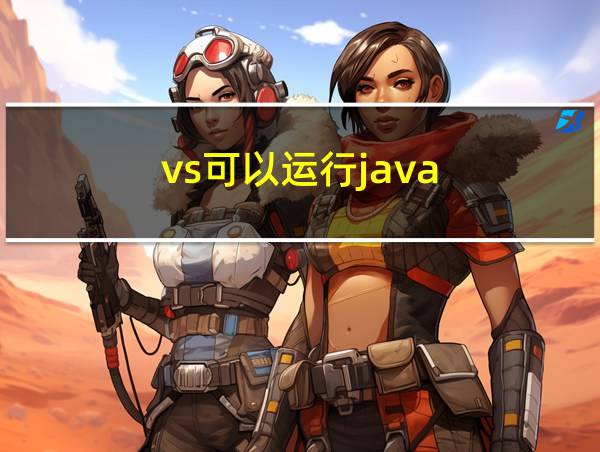 vs可以运行java的相关图片