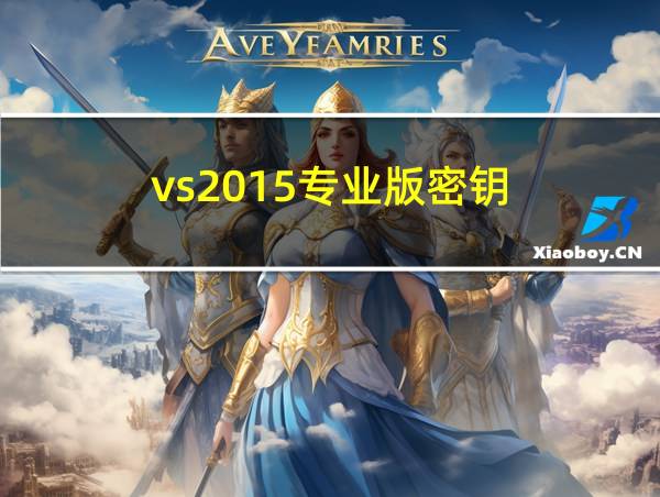 vs2015专业版密钥的相关图片