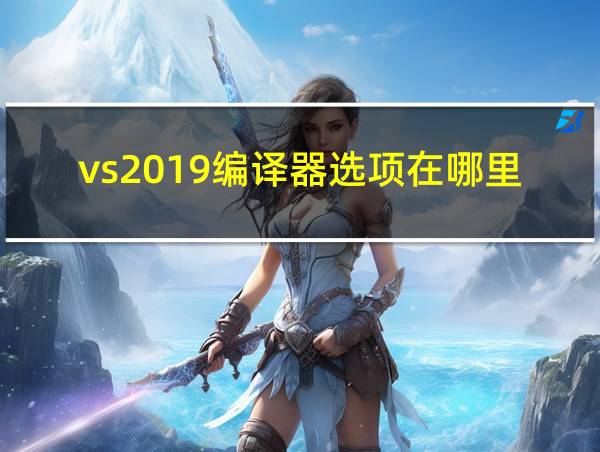 vs2019编译器选项在哪里设置的相关图片