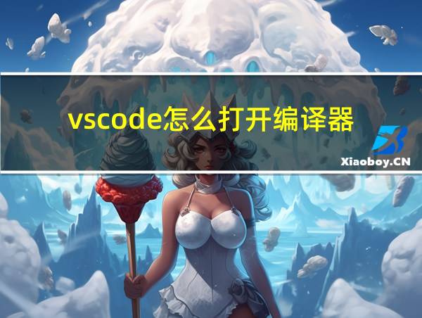 vscode怎么打开编译器的相关图片