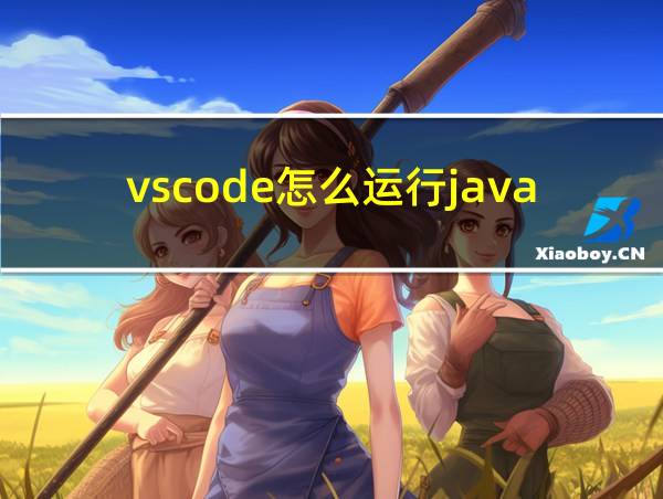 vscode怎么运行java的package的相关图片