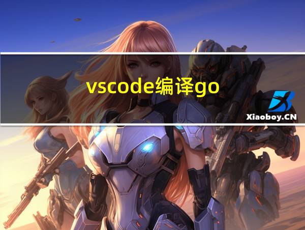 vscode编译go的相关图片