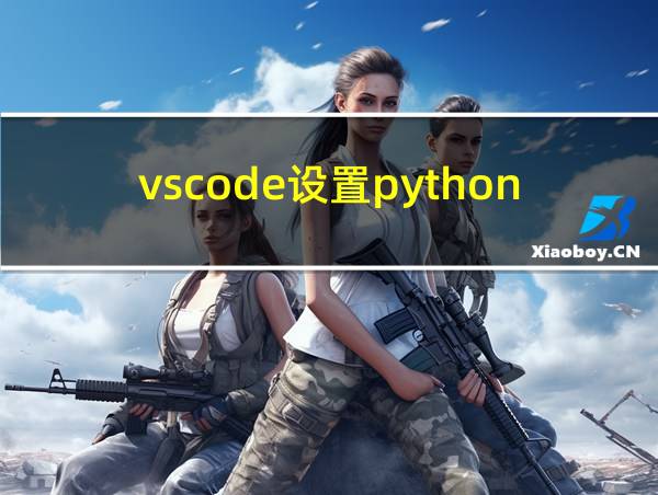 vscode设置python环境变量的相关图片