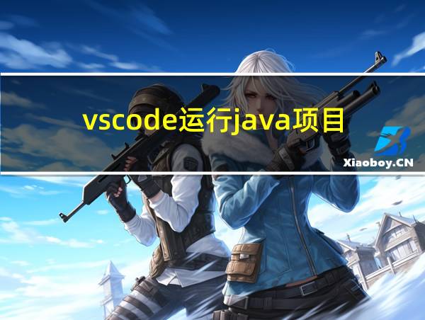 vscode运行java项目的相关图片