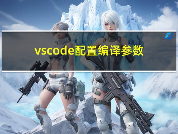 vscode配置编译参数的相关图片