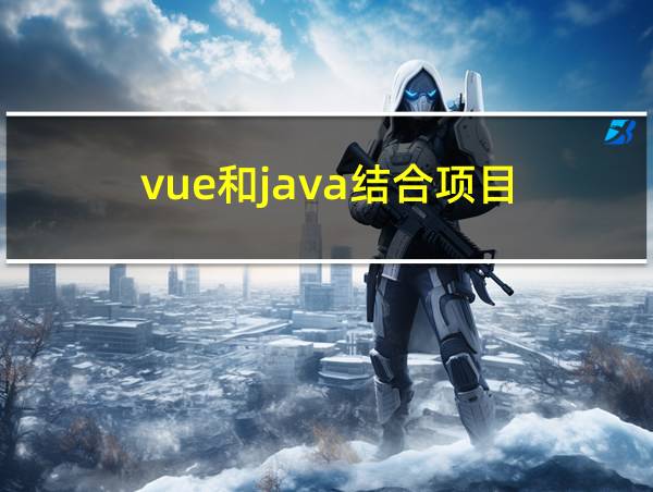 vue和java结合项目的相关图片