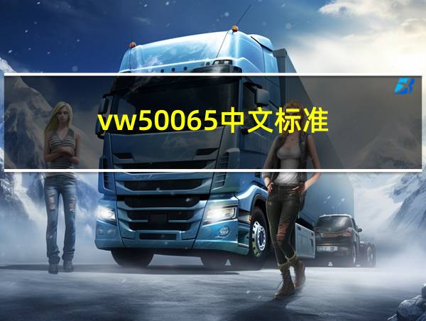 vw50065中文标准的相关图片