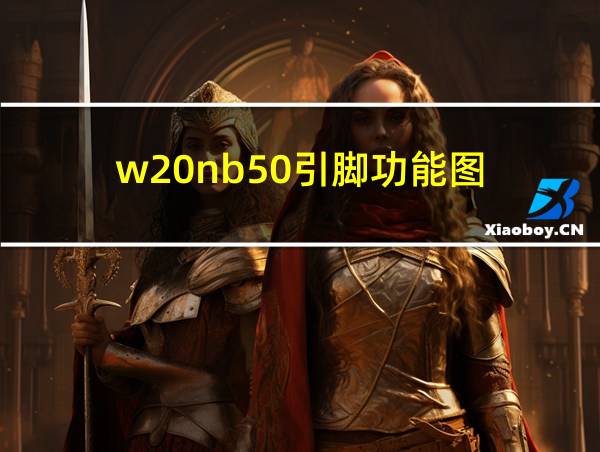 w20nb50引脚功能图的相关图片