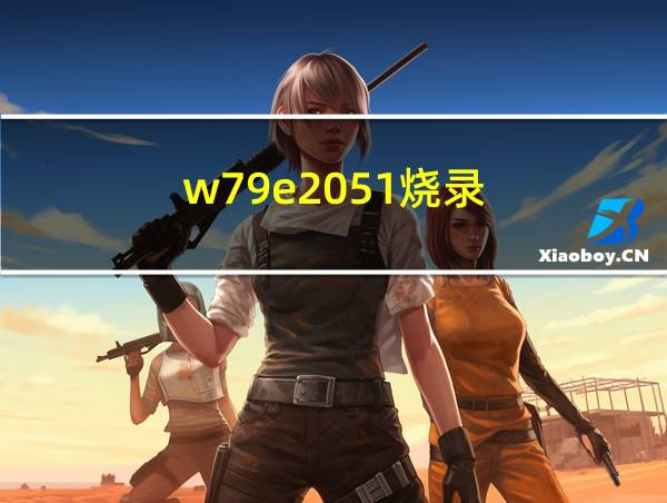 w79e2051烧录的相关图片