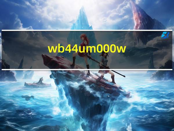 wb44um000w的相关图片