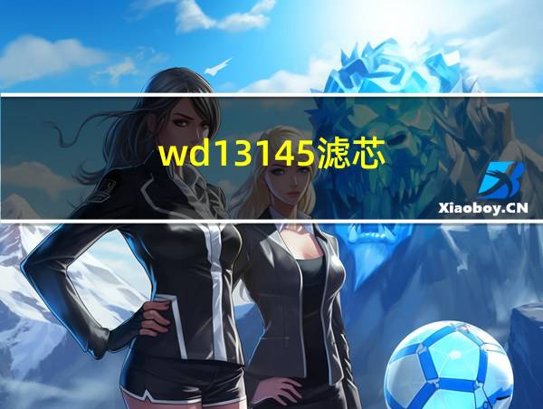 wd13145滤芯的相关图片