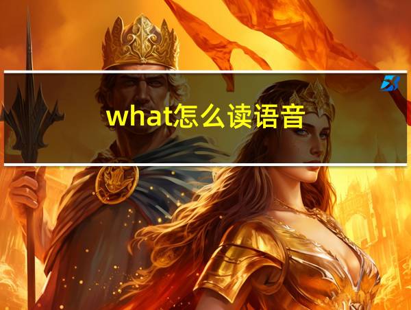 what怎么读语音的相关图片