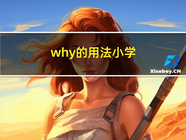 why的用法小学的相关图片