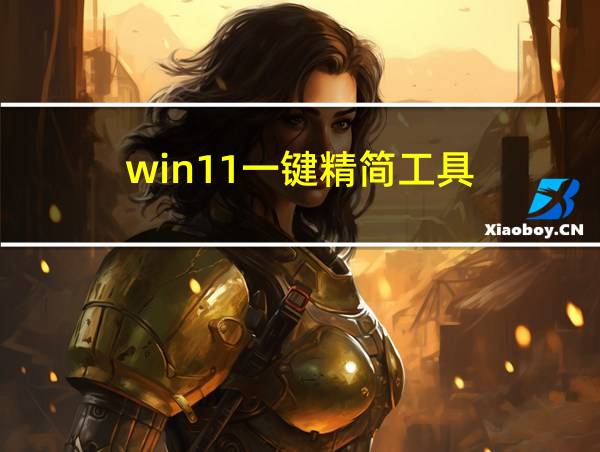 win11一键精简工具的相关图片