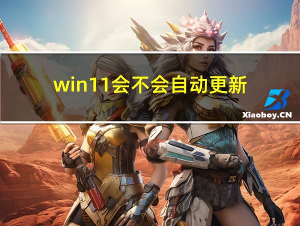 win11会不会自动更新的相关图片