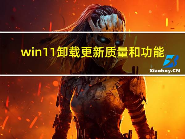 win11卸载更新质量和功能的区别的相关图片