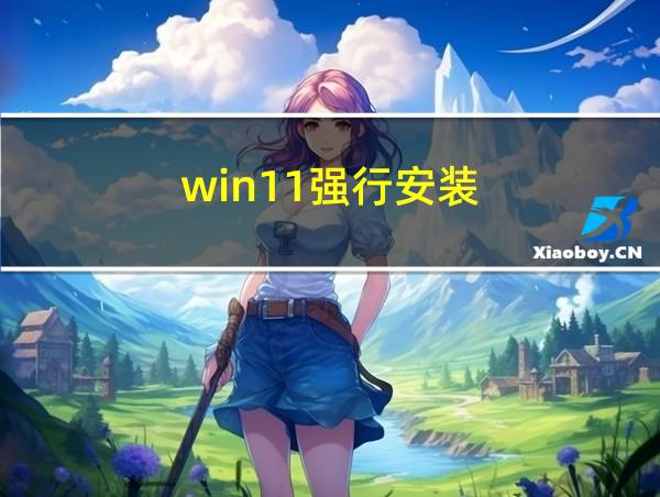 win11强行安装的相关图片