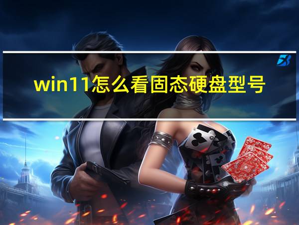 win11怎么看固态硬盘型号的相关图片