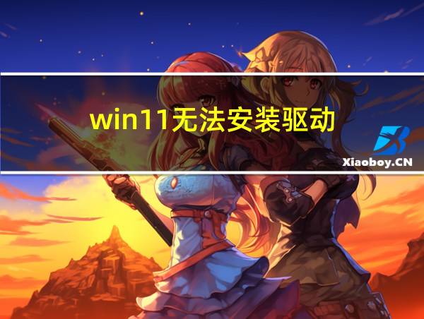 win11无法安装驱动的相关图片