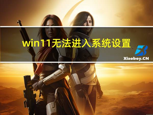 win11无法进入系统设置的相关图片