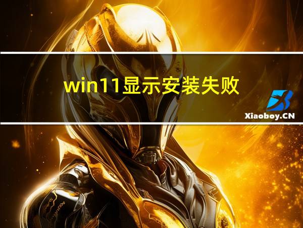 win11显示安装失败的相关图片