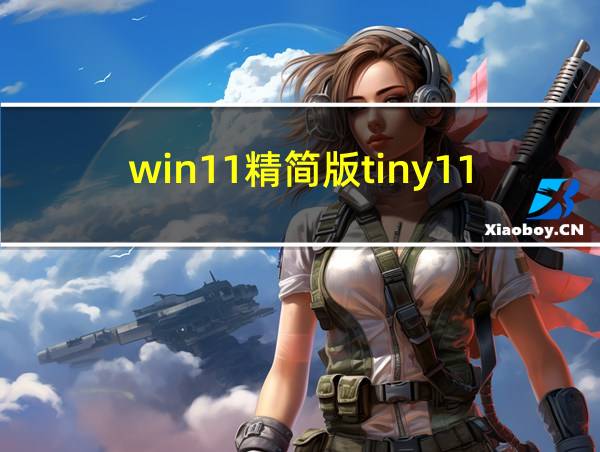 win11精简版tiny11官网的相关图片