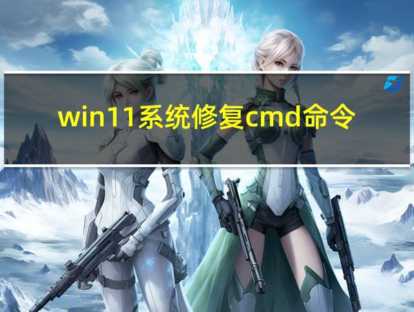 win11系统修复cmd命令的相关图片