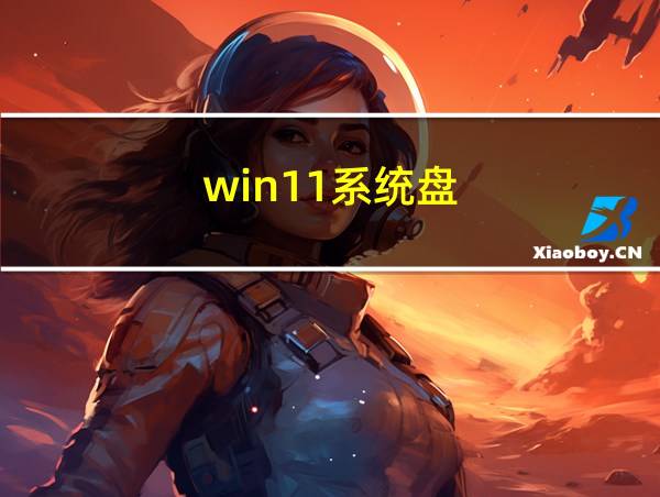 win11系统盘的相关图片