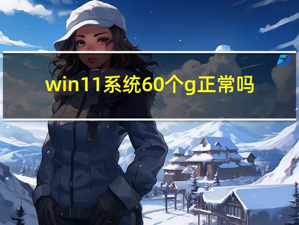 win11系统60个g正常吗的相关图片