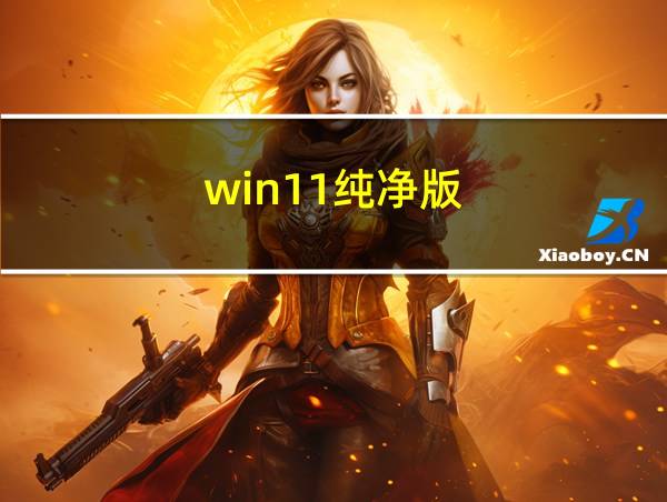 win11纯净版的相关图片