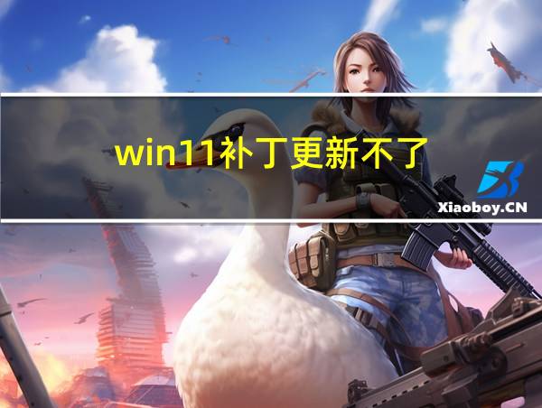 win11补丁更新不了的相关图片