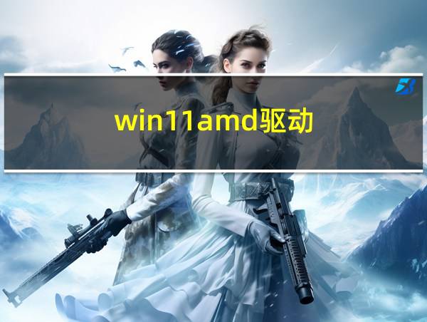 win11amd驱动的相关图片