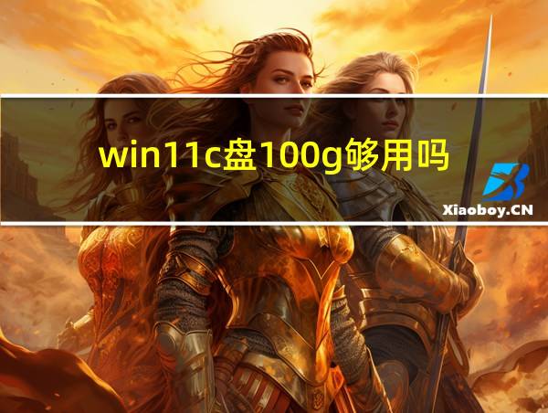 win11c盘100g够用吗的相关图片