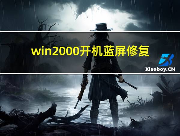 win2000开机蓝屏修复的相关图片