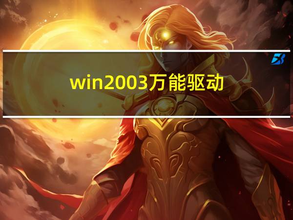 win2003万能驱动的相关图片