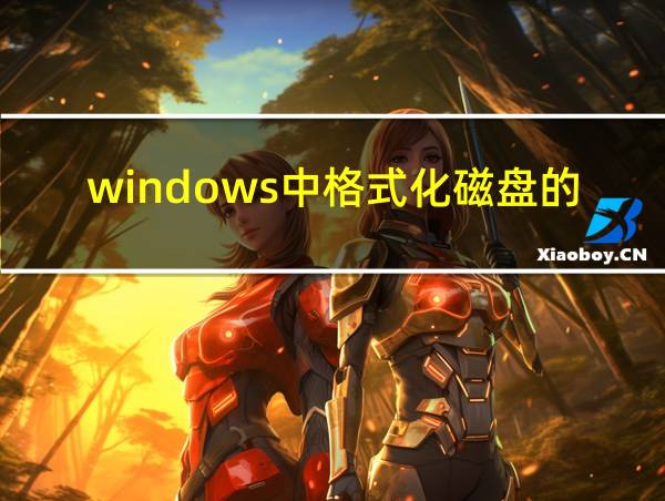 windows中格式化磁盘的可选方式有哪些的相关图片