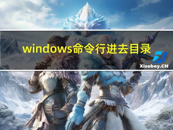 windows命令行进去目录的相关图片