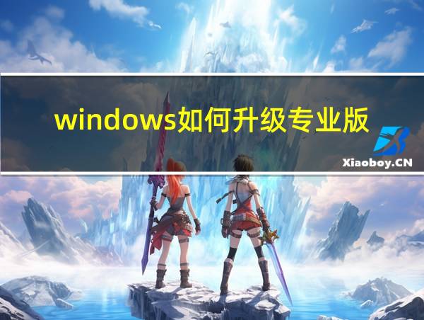 windows如何升级专业版的相关图片