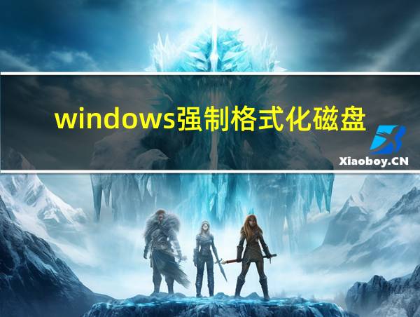 windows强制格式化磁盘的相关图片